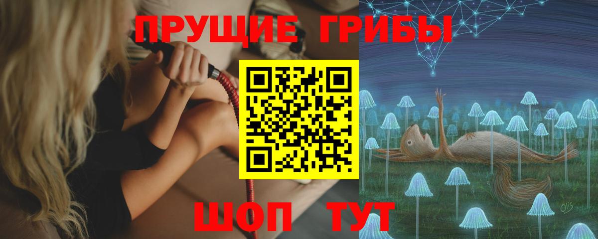 Псилоцибиновые грибы мицелий Донецк